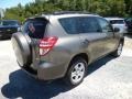 Pyrite Metallic - RAV4 I4 4WD Photo No. 7