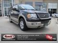 Dark Stone Metallic 2005 Ford Expedition Eddie Bauer
