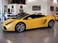 2004 Giallo Midas (Yellow) Lamborghini Gallardo Coupe  photo #2