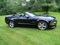 2008 Black Ford Mustang GT Premium Convertible  photo #16