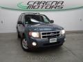 2010 Steel Blue Metallic Ford Escape XLT V6 4WD  photo #1