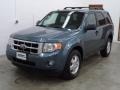 2010 Steel Blue Metallic Ford Escape XLT V6 4WD  photo #13