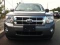 2010 Sterling Grey Metallic Ford Escape XLT 4WD  photo #2