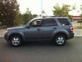 2010 Sterling Grey Metallic Ford Escape XLT 4WD  photo #4