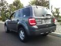 2010 Sterling Grey Metallic Ford Escape XLT 4WD  photo #5
