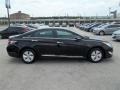 2013 Black Onyx Pearl Hyundai Sonata Hybrid Limited  photo #7