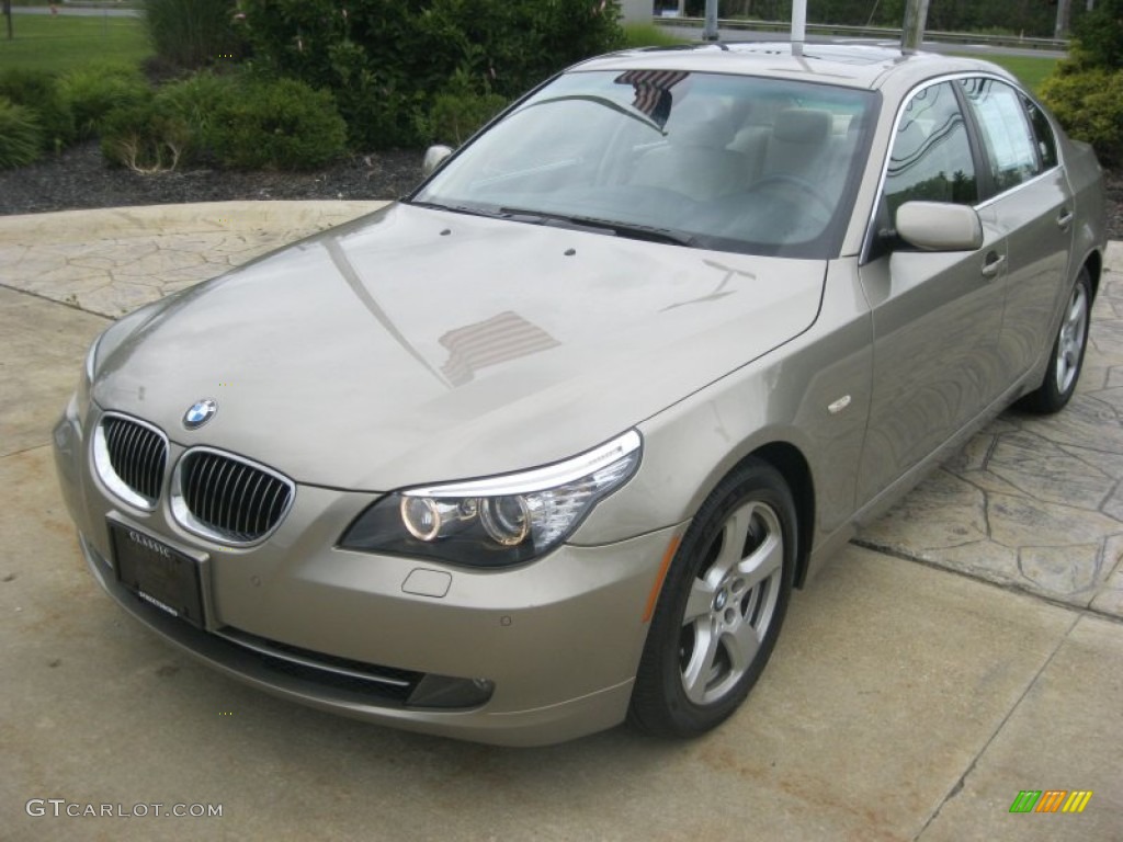 2008 Bmw platinum bronze metallic #3
