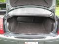 Magnesium Pearlcoat - 300 C HEMI Photo No. 16