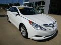 Pearl White - Sonata GLS Photo No. 8