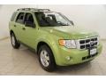 Lime Squeeze Metallic 2012 Ford Escape XLT 4WD