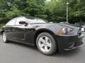 Pitch Black - Charger SE Photo No. 4