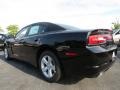 Pitch Black - Charger SE Photo No. 2
