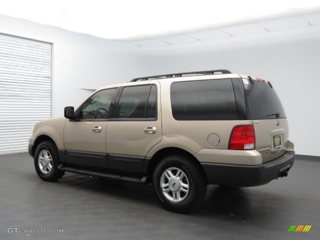 2006 Expedition XLT - Pueblo Gold Metallic / Medium Parchment photo #3