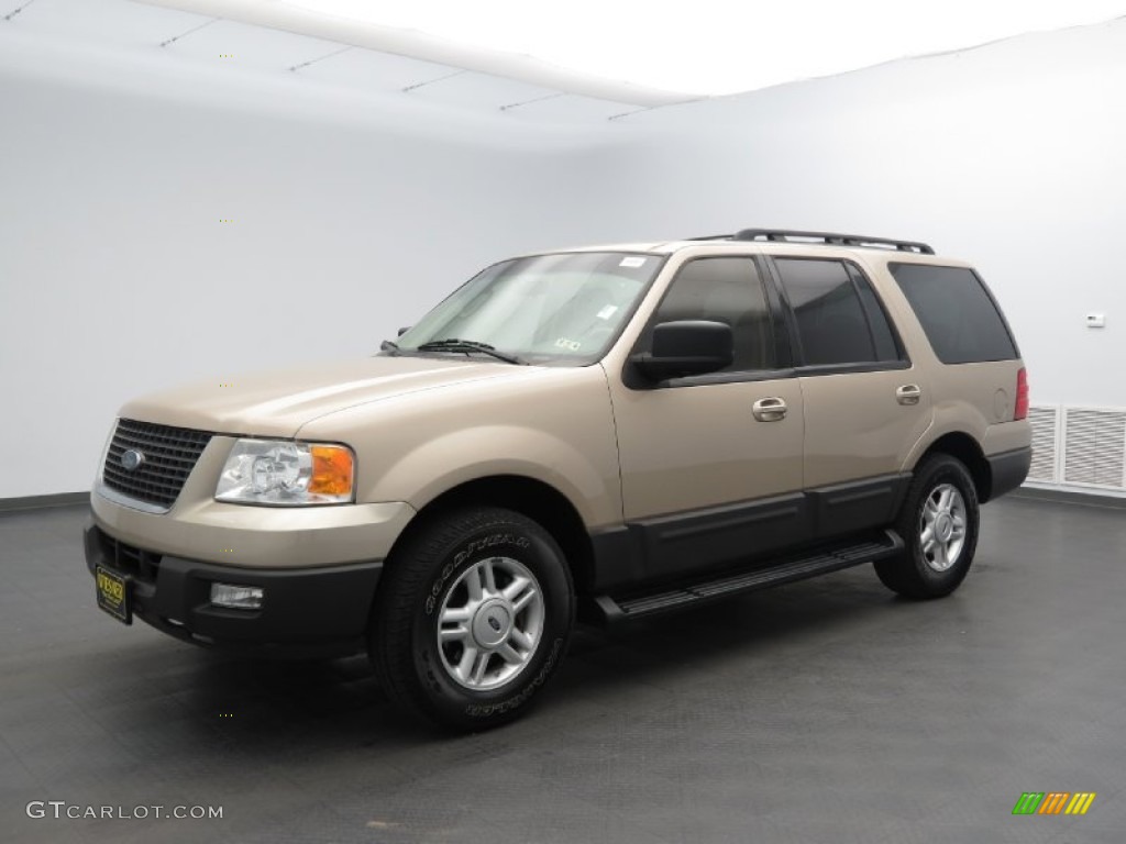 2006 Expedition XLT - Pueblo Gold Metallic / Medium Parchment photo #4