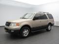 2006 Pueblo Gold Metallic Ford Expedition XLT  photo #4