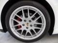 2010 Porsche Panamera Turbo Wheel and Tire Photo