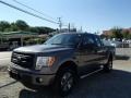 Sterling Gray Metallic - F150 STX SuperCab 4x4 Photo No. 1