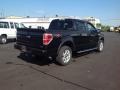 2010 Tuxedo Black Ford F150 FX4 SuperCrew 4x4  photo #5