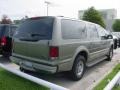 2002 Mineral Gray Metallic Ford Excursion Limited  photo #4