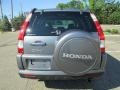 2005 Pewter Pearl Honda CR-V Special Edition 4WD  photo #6