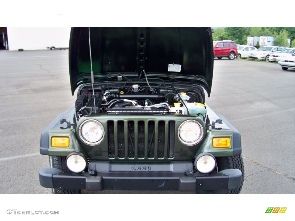 2006 Wrangler Sport 4x4 - Jeep Green Metallic / Dark Slate Gray photo #17