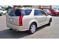 Gold Mist - SRX 4 V6 AWD Photo No. 5
