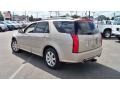 Gold Mist - SRX 4 V6 AWD Photo No. 7