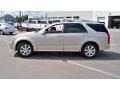 Gold Mist - SRX 4 V6 AWD Photo No. 8