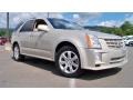 Gold Mist - SRX 4 V6 AWD Photo No. 23