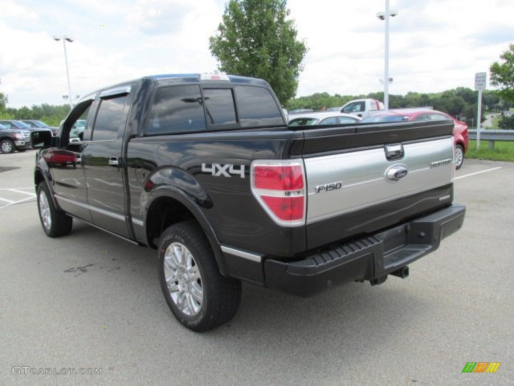 Ebony Black 2011 Ford F150 Platinum SuperCrew 4x4 Exterior Photo #84008202