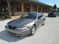 2001 Mineral Grey Metallic Ford Mustang V6 Coupe  photo #2