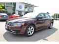 Opera Red Metallic - Passat 2.5L SE Photo No. 1