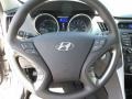 2013 Hyper Silver Metallic Hyundai Sonata Hybrid Limited  photo #33