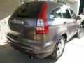 2010 Urban Titanium Metallic Honda CR-V EX-L AWD  photo #2