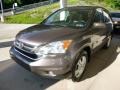 2010 Urban Titanium Metallic Honda CR-V EX-L AWD  photo #5