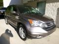 2010 Urban Titanium Metallic Honda CR-V EX-L AWD  photo #7