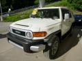 Iceberg White - FJ Cruiser 4WD Photo No. 5