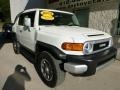 Iceberg White - FJ Cruiser 4WD Photo No. 7