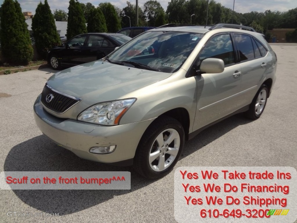 2006 RX 330 AWD - Savannah Metallic / Ivory photo #6