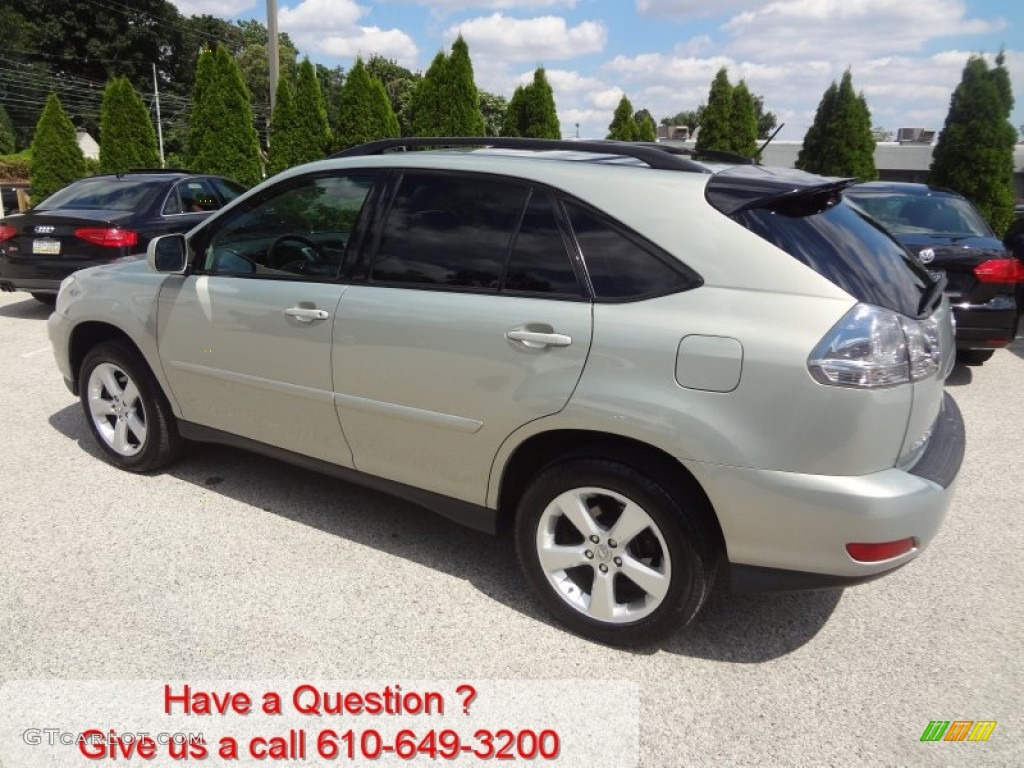2006 RX 330 AWD - Savannah Metallic / Ivory photo #8