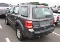 2010 Sterling Grey Metallic Ford Escape XLS  photo #3