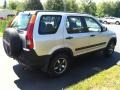 Satin Silver Metallic - CR-V LX Photo No. 5