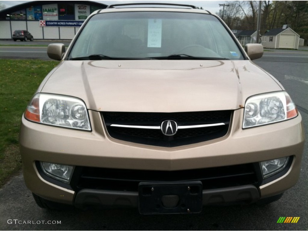 2002 MDX  - Mesa Beige Metallic / Saddle photo #3