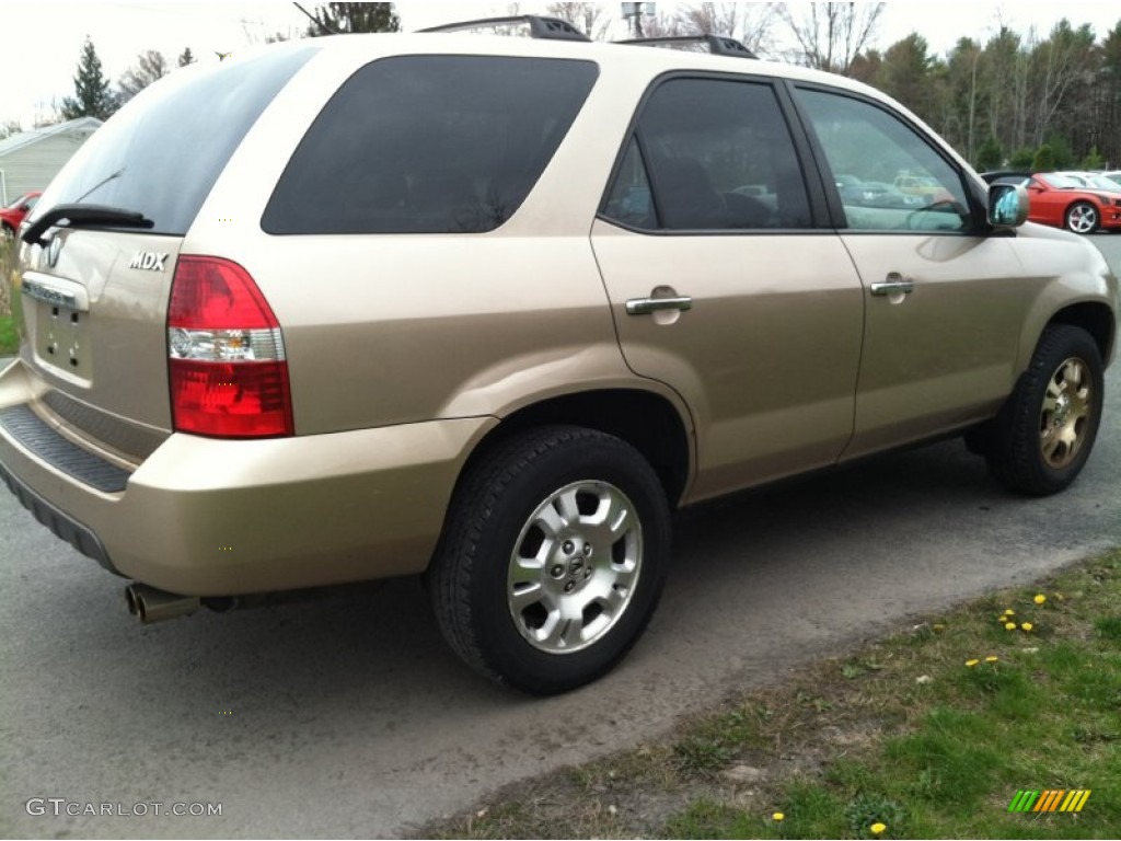 2002 MDX  - Mesa Beige Metallic / Saddle photo #5