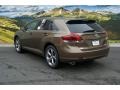 Golden Umber Metallic - Venza LE AWD Photo No. 2