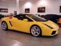 2008 Giallo Halys (Yellow) Lamborghini Gallardo Spyder  photo #3