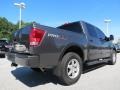 Smoke Gray - Titan Pro-4X Crew Cab 4x4 Photo No. 5