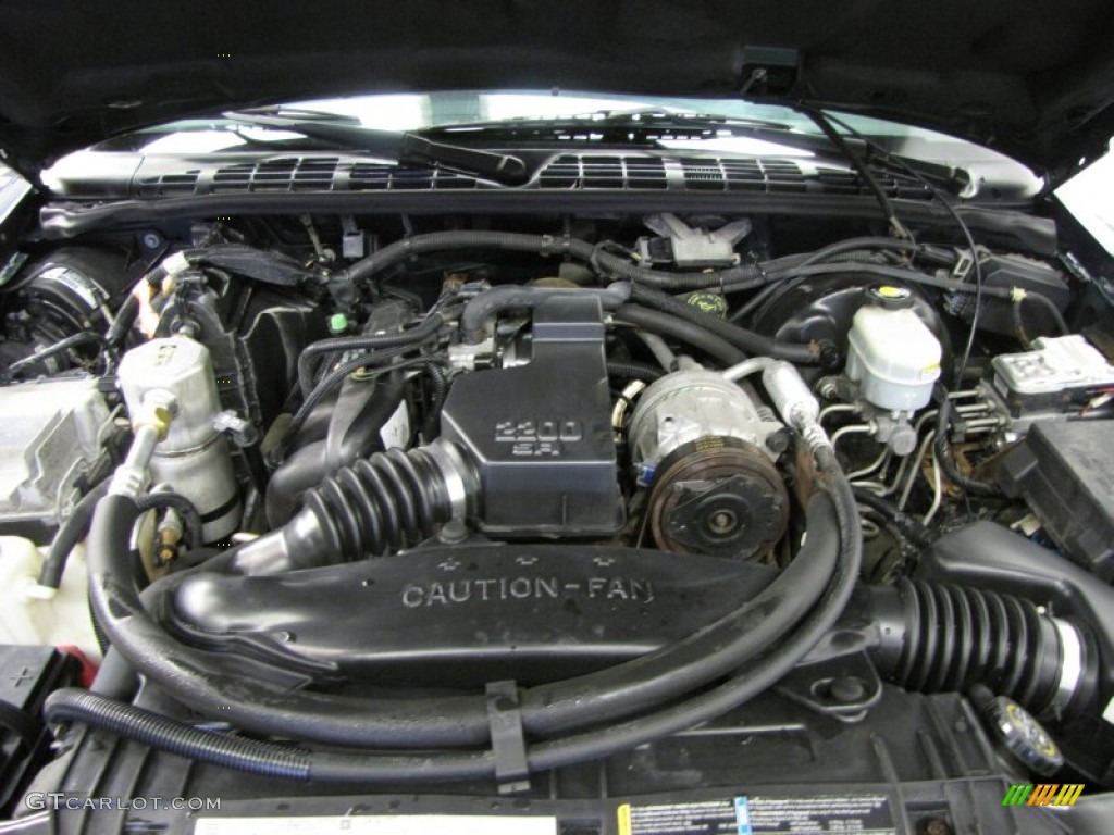 2002 S10 LS Extended Cab - Forest Green Metallic / Graphite photo #2