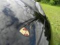 Black - 911 Carrera Photo No. 33