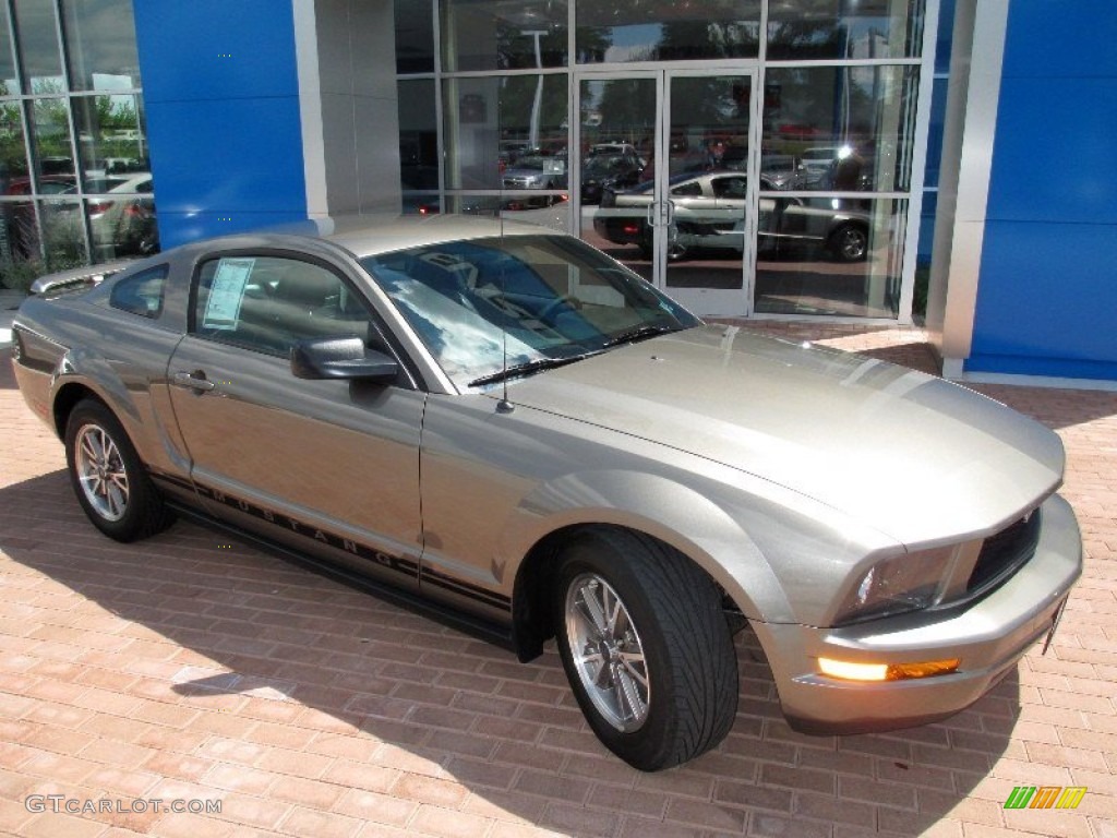 2005 Mustang V6 Premium Coupe - Mineral Grey Metallic / Dark Charcoal photo #10